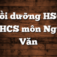 Bồi dưỡng HSG THCS môn Ngữ Văn