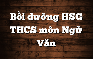 Bồi dưỡng HSG THCS môn Ngữ Văn